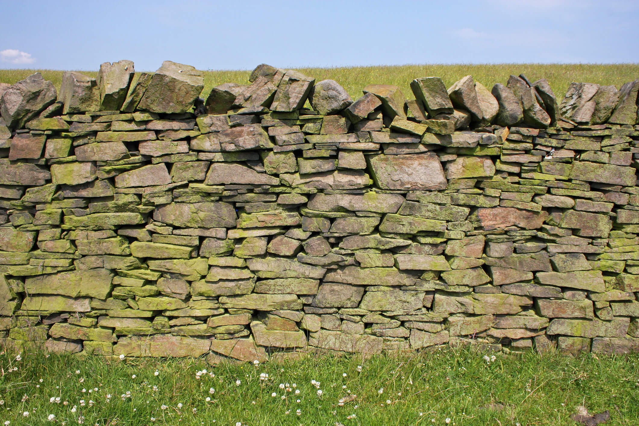 Dry Stone Wall in front of a field